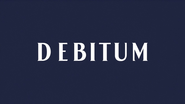 Debitum Definition: A Comprehensive Review Of Debitum Network