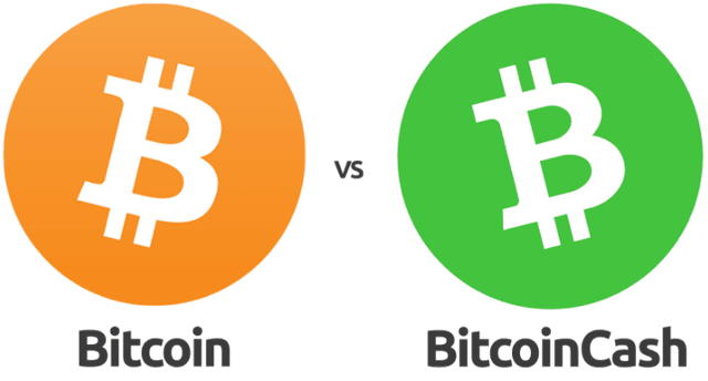 Bitcoin vs Bitcoin Cash: Exploring the Differences Between BTC and BCH