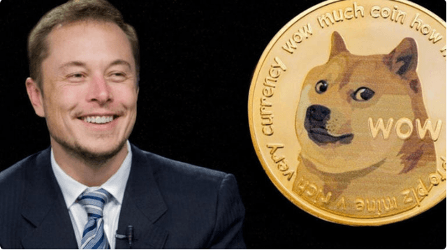 Elon Musk Dogecoin and Bitcoin Trends and Opinions Explained