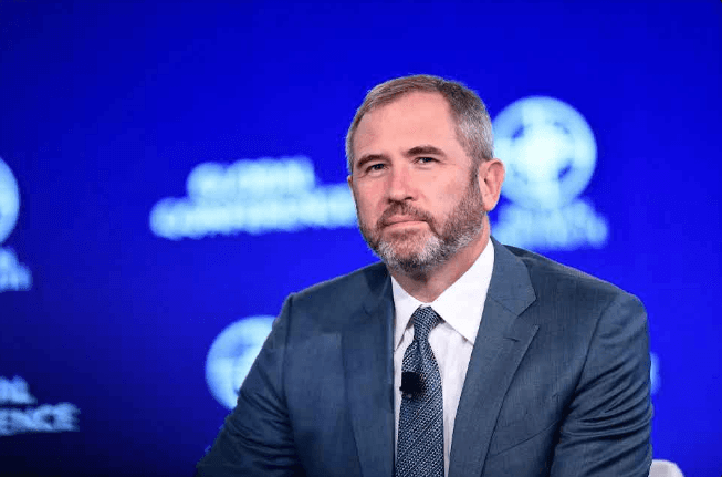 Brad Garlinghouse Ripple Blockchain and Crypto Adoption Explained